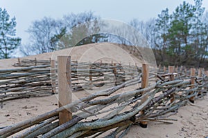 Coastal sand fencing. Restored and stabilized sand dune habitat. Ecological services