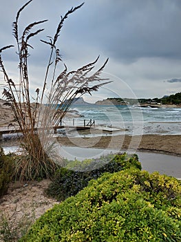 Coastal Sand and Sea in Spain with beach grass