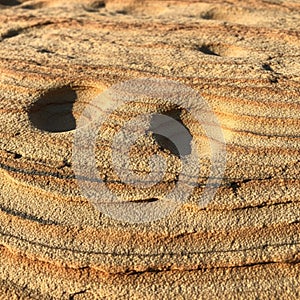 Coastal sandstone formations with eroded patterns and small depressions. Layers of