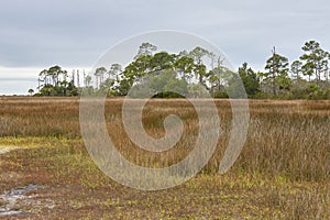 Coastal Scenery Near Cedar Key, Florida