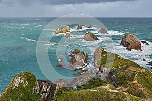 Coastal seaside landscape with cliffs, Nugget Point, New Zealand