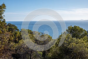 Coastal Spain view through a canopy of pine trees, overlooking a calm blue sea with distant land on the horizon, under a