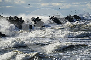 Coastal storm in the Baltic Sea, big waves crash against the harbor breakwater, breaking wave