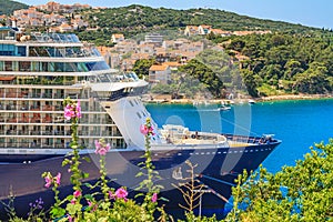 Coastal summer landscape - view of the blooming malva on the background of cruise ship, port of Dubrovnik