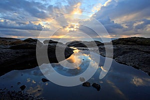 Coastal tide pool sunset reflection, Oregon coast