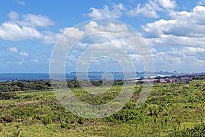 Coastal Vegetation against Sea and Distant Durban City Skyline