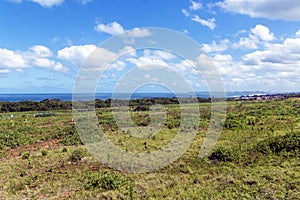 Coastal Vegetation against Sea and Distant Durban City Skyline