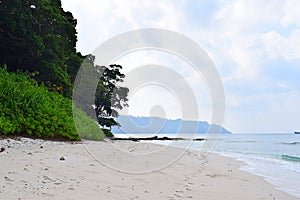 Coastal Vegetation, White Sandy Beach, Ocean, Sky, and Peace - Radhanagar Beach, Havelock Island, Andaman Nicobar, India