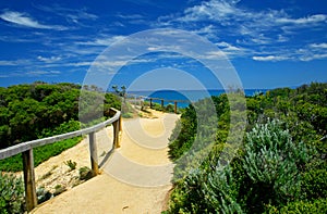 Coastal View from Cape Otway Lighthoue