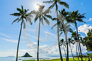 View of Kualoa Regional Park, Oahu, Hawaii photo