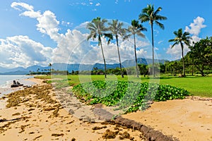 View of Kualoa Regional Park, Oahu, Hawaii photo