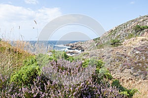 Coastal view from Kullaberg, Sweden