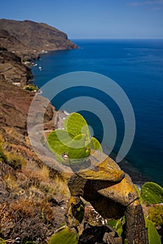 Coastal village in Tenerife.