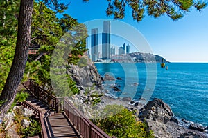 Coastal walk at Dongbaek park in Busan, Republic of Korea