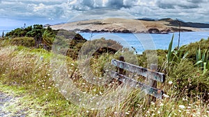 Coastal Walk near Arai-Te-Uru Recreation Reserve in Omapere in N