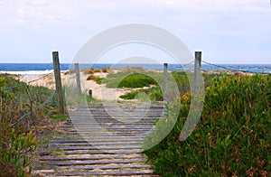 Coastal Walkway