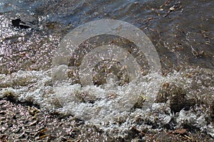 Coastal wave in small lake