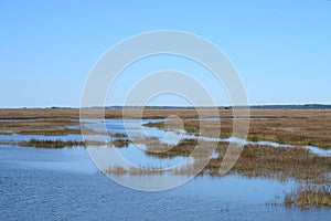 Coastal Wetlands near a Southern Coastal Island