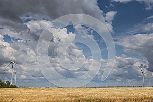 Coastal wind farm in the middle of a wheat field, Botievo, Ukraine