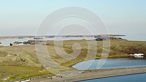 Coastline of Arctic Ocean in summer on desert Novaya Zemlya.