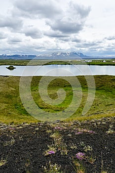 The coastline around the pond Stakholstjorn with pseudo craters - natural monument near Lake Myvatn in Northern Iceland