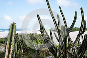 Coastline of Arraial do Cabo, Rio de Janeiro, Brazil