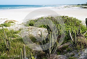 Coastline of Arraial do Cabo, Rio de Janeiro, Brazil