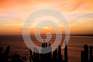 Coastline of Arraial do Cabo, Rio de Janeiro, Brazil