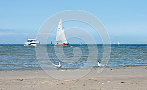 Coastline of the Baltic sea in north of Germany with sailing boat