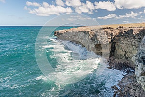 Coastline in Barbados. Rocks and Ocean Waves. Caribbean Sea Island