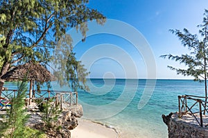 Coastline beach Kizimkazi Unguja Zanzibar Island Tanzania East Africa