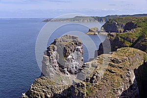 Coastline of Cap FrÃÂ©hel in France photo