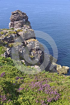 Coastline of Cap FrÃ©hel in France