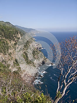 Coastline of Cinque Terre
