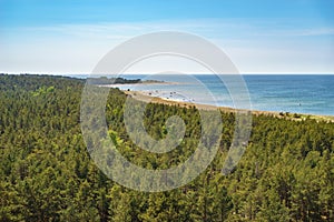 Coastline and coniferous forest of Hiiumaa island