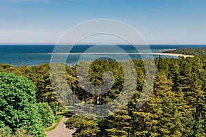 Coastline and coniferous forest of Hiiumaa island