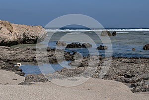 The coastline of Egypt and the Red Sea