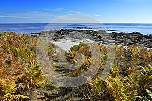 Coastline of Beg Meil in France photo