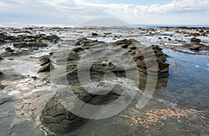 Coastline in the Flat Rocks area of Bunurong Marine and Coastal Park in Victoria, Australia