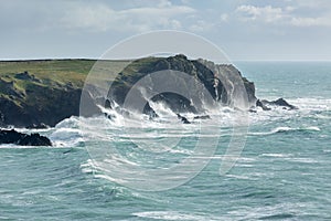Coastline Gales along the rugged cliffs of Cornwall, near the stunning Kynance Cove photo