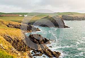 Coastline in late evening sun at Port Quin