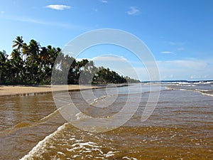 Mayaro Beach, Trinidad photo