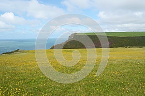 Coastline at Morwenstow, Cornwall