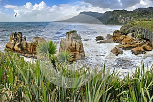 Coastline near Pancake Rocks, New Zealand