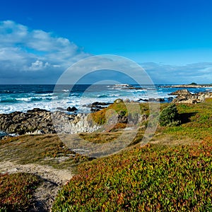 Coastline near Pebble beach, Pebble Beach, Monterey Peninsula, C