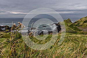 Coastline in northern Ireland at carrick a rede