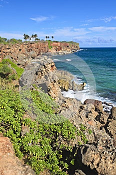 Coastline, Poipu Beach, Kauai