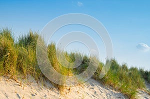 Coastline and sand dune on Baltic sea in Rostock