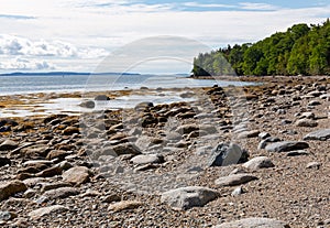 Coastline of Sears Island in Maine at low tide photo