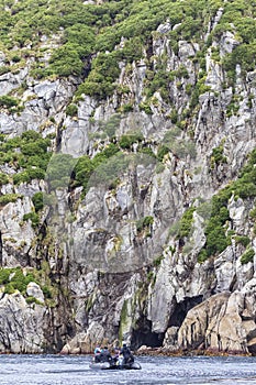 Coastline of The Snares, Subantarctic New Zealand